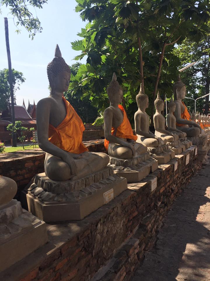 15442356_10207403778485115_2875414297830425620_n