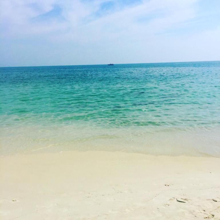 15578592_10207413723373731_2252139873613375406_n